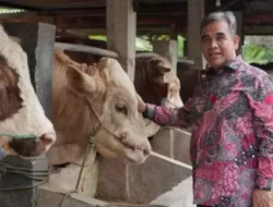 Jelang Idul Adha, Gerindra Usul Pemerintah Gelar Vaksinasi Sapi Masal Milik Peternak