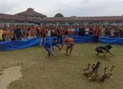 Bebek yang Lepas di Lapas berhasil Ditangkap WBP