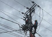 Tingkatkan Keandalan Listrik, PLN Lakukan Pemeliharaan Jaringan Listrik