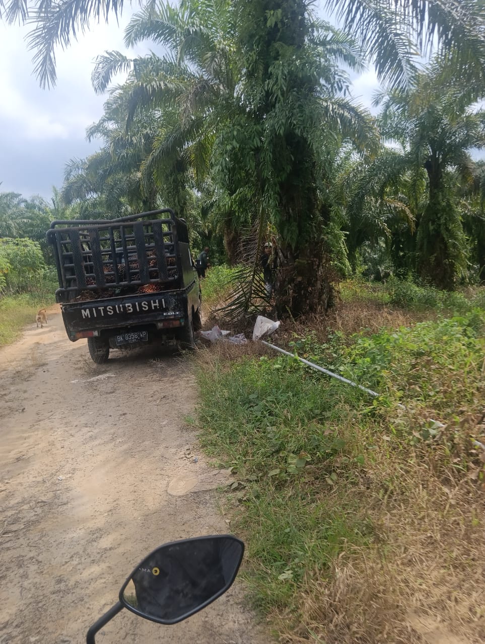 Musyawarah Luar Biasa Kelompok 26 – Tanjung Pinggir, Sepakat Mengeluarkan Jasmen Saragih Dari Keanggotaan