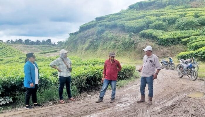 Pemkab Simalungun bersama PTPN IV Kebun Sidamanik Berkolaborasi atasi Banjir