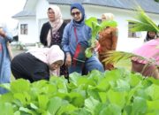 Kunjungan Pokja Bunda PAUD Kabupaten Simalungun ke Rumah Dinas Bupati: Semangat Kekeluargaan dan Ketahanan Pangan