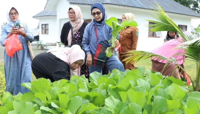 Kunjungan Pokja Bunda PAUD Kabupaten Simalungun ke Rumah Dinas Bupati: Semangat Kekeluargaan dan Ketahanan Pangan