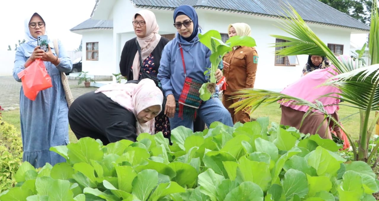 Kunjungan Pokja Bunda PAUD Kabupaten Simalungun ke Rumah Dinas Bupati: Semangat Kekeluargaan dan Ketahanan Pangan